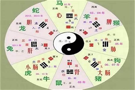 正字五行|正字的五行是什么,正的五行属性及吉利寓意